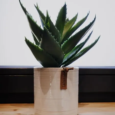 Sarnia Skala House Ζακοπάνε