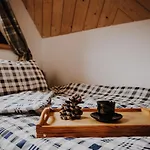 Sarnia Skała House * Zakopane