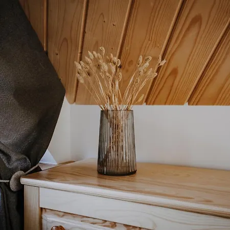 Tatil Evi Sarnia Skala House Zakopane