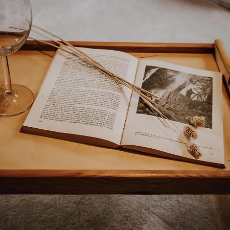 Sarnia Skala House ザコパネ