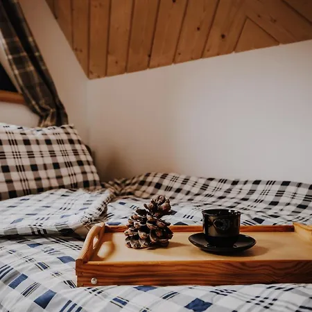 Sarnia Skala House * ザコパネ