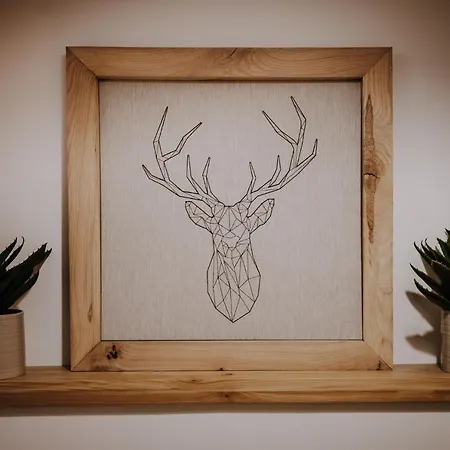 Sarnia Skala House 別荘 ザコパネ