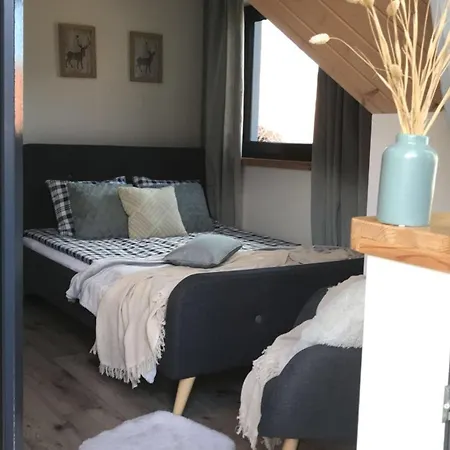 Sarnia Skala House Tatil Evi Zakopane