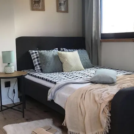 Sarnia Skala House 扎科帕内