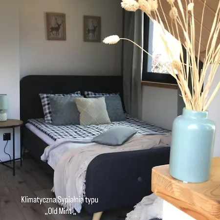 Ferienhaus Sarnia Skala House Zakopane