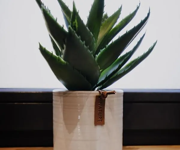 Sarnia Skala House Zakopane