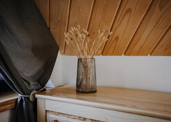 Hébergement de vacances Sarnia Skala House Zakopane