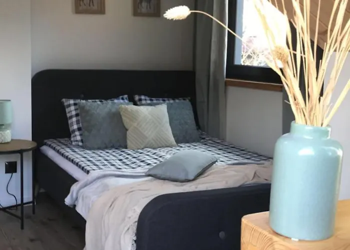 Hébergement de vacances Sarnia Skala House Zakopane